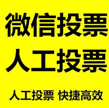 长春市投票活动拉票能被查出来吗？如何操作能不被发现？